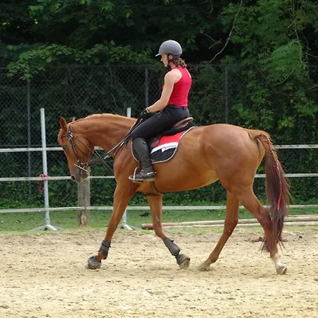 La Bulle Romantique, Avec Jacuzzi Privatif Hébergement de vacances